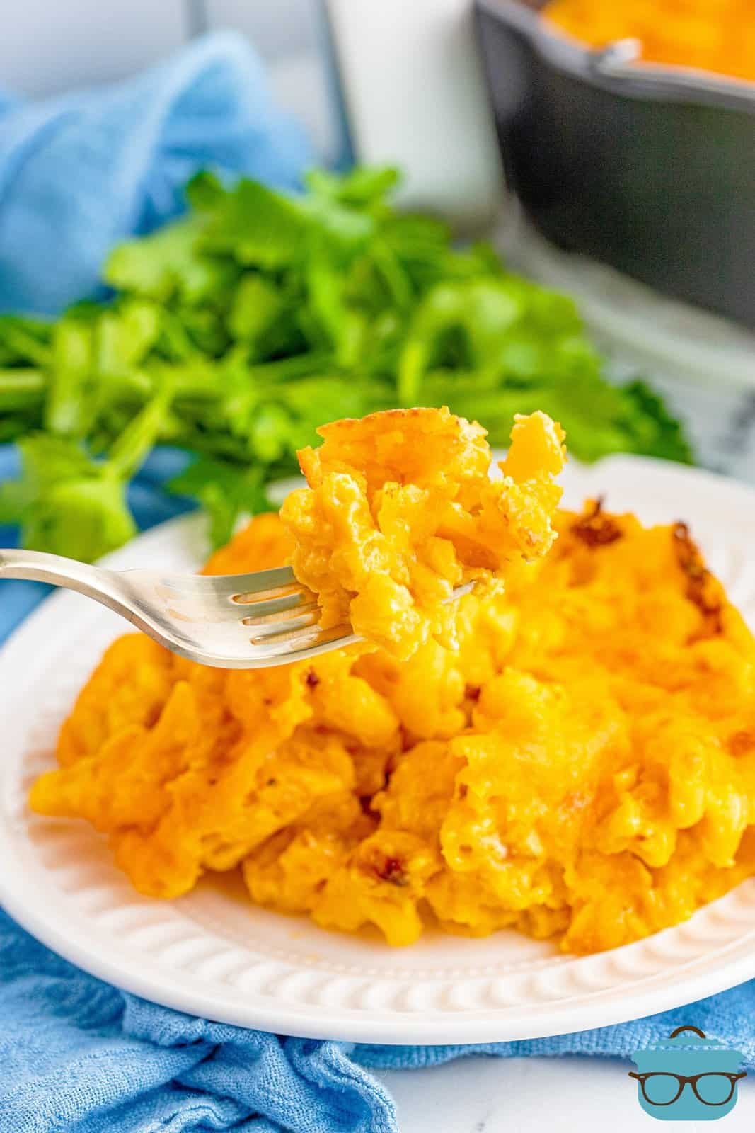 AIR FRYER MAC AND CHEESE