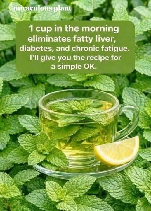 Mint & Lemon Tea 1 Mint & Lemon Tea