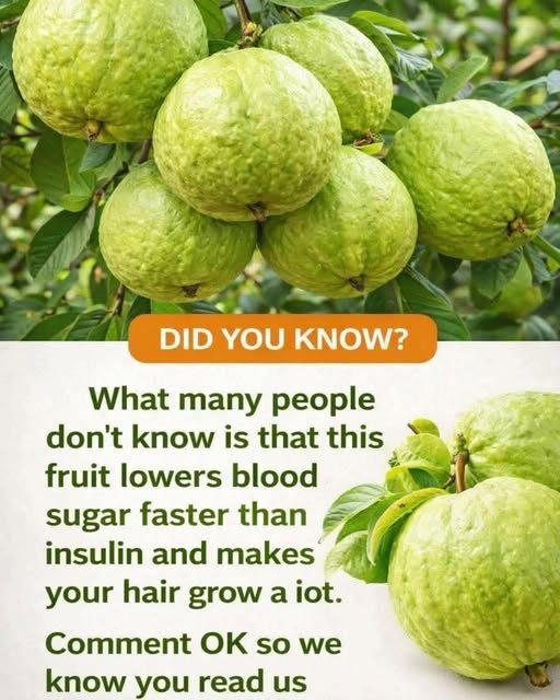 Guava: Blood Sugar & Hair Growth Miracle 1 Guava: Blood Sugar & Hair Growth Miracle