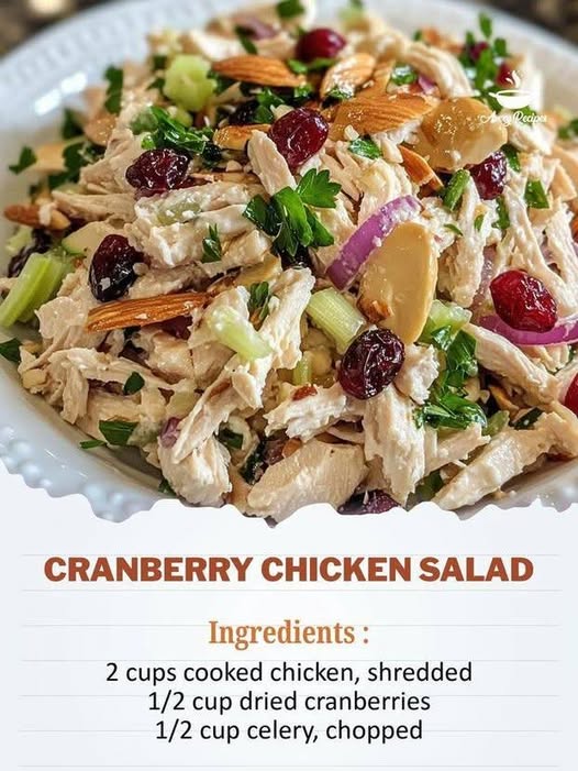 Cranberry Chicken Salad with Dried Cranberries, Celery and Pecans